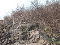 rra delle Concazze-201100508 087